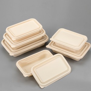 Екологичен BPA свободен за еднократна употреба бенто обедна кутия за опаковане биоразградими контейнери за храни